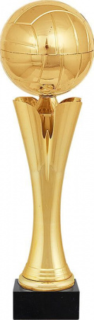 Кубок Исси (размер: 29 цвет: золото/золото)