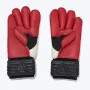 goods_29844_4_thumb5