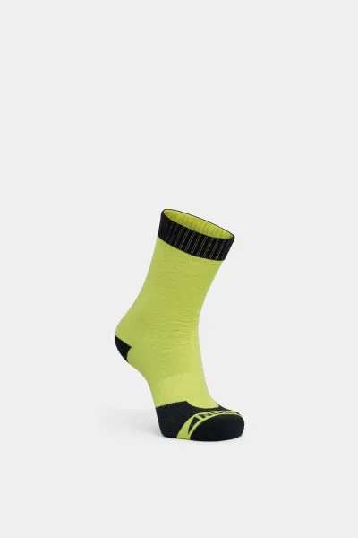 HR01_flurescent (2)