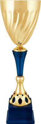 Кубок Фоук (размер: 49 цвет: золото/синий)