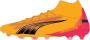 107750_03_fv.jpg