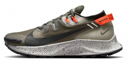 nike_pegasus_trail_2_ck4305_301_(1)