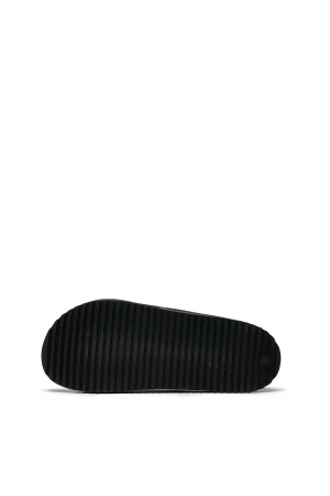 885347001773636303-1442639_3