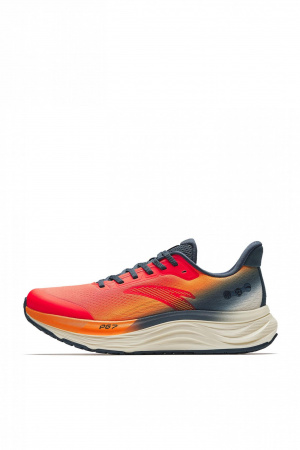 172198001771393028-1439896_1