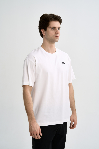 042281001775711374-1442789_2