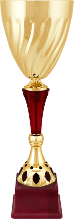 Кубок Фоук (размер: 49 цвет: золото/красный)