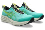 asics_gel_pulse_17_tr_5