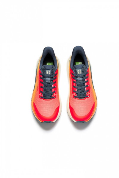 172198001771393028-1439896_3